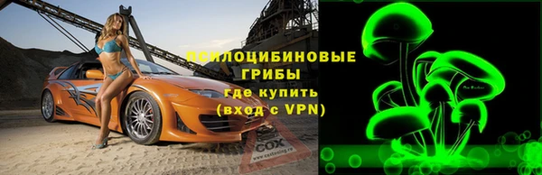 индика Алексин