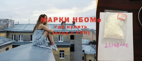 индика Алексин