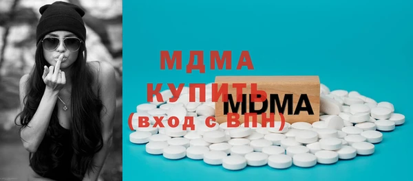 индика Алексин