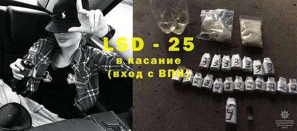 индика Алексин