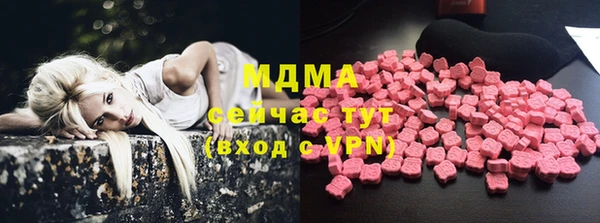индика Алексин
