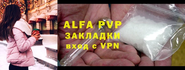 индика Алексин