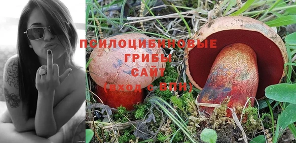 бошки Медногорск