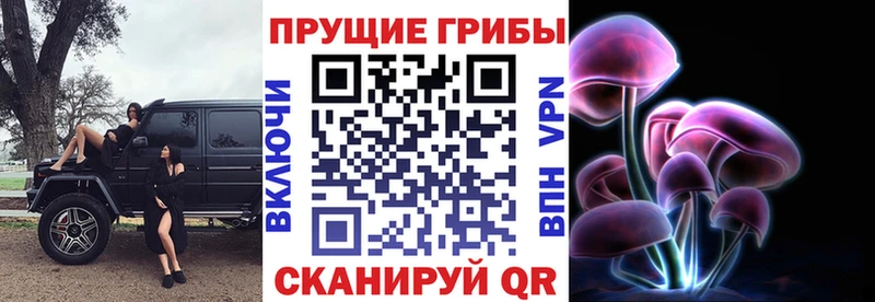 Галлюциногенные грибы MAGIC MUSHROOMS  kraken онион  Чайковский 